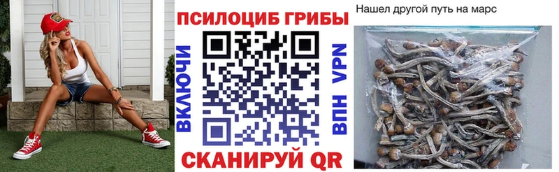 купить наркоту  Нововоронеж  KRAKEN ссылка  Псилоцибиновые грибы Psilocybine cubensis 